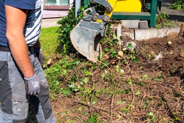 Hedge Removal Service in Rockledge