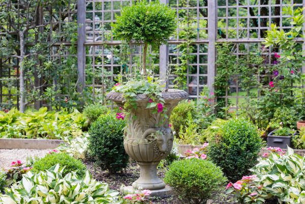 Topiary Pruning in Rockledge