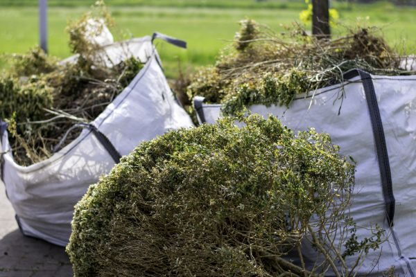 Shrubs Removal in Rockledge