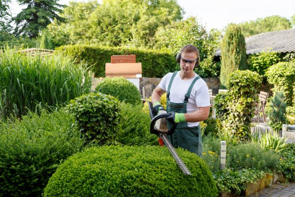 Shrubs Trimming in Rockledge