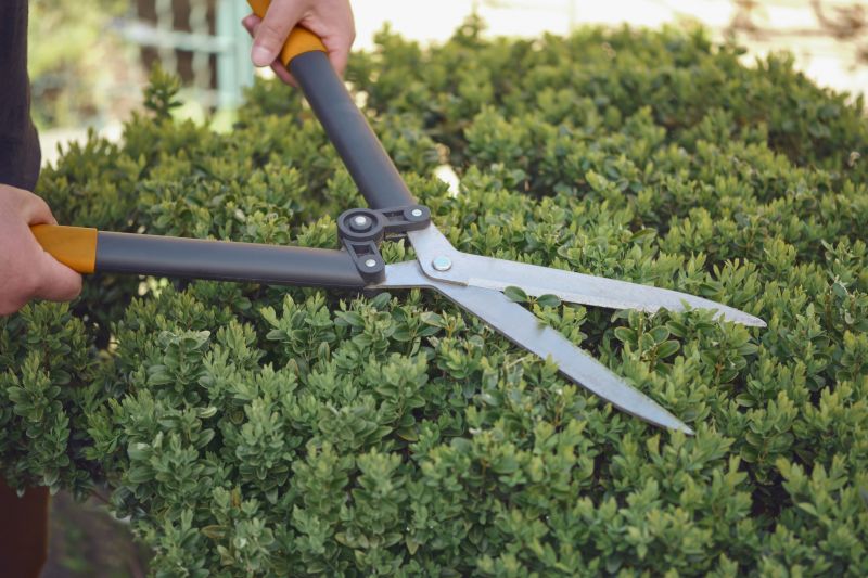 Close-up of Shrub Shears